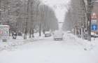 Перший сніг на Хмельниччині: знеструмлено 114 населених пунктів