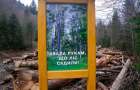 У Національному природному парку “Подільські Товтри” рубають ліси та наживаються на рекреації