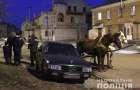 Курйозне ДТП: у Шепетівці чоловік на викрадених конях в’їхав у припарковану Audi