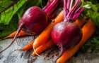 На Хмельниччині “підскочили” ціни на моркву, буряк та картоплю