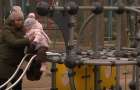 Недобудований дитячий майданчик: хмельницькі комунальники звинуватили уряд у зриві робіт