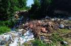 На голову Давидковецької сільської ради склали протокол за невжиття заходів по ліквідації стихійного сміттєзвалища