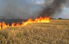 Неподалік Хмельницького вигоріло 24 га стерні, ймовірна причина пожежі – підпал