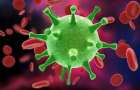 Коронавірус: на Хмельниччині за добу захворіло і вилікувалося понад 500 осіб