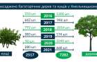 У Хмельницькому за останні 5 років висадили утричі більше зелених насаджень ніж зрізали