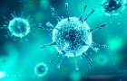 На Хмельниччині коронавірус витіснив звичні операції, а кількість меддосліджень зменшилась на 30%