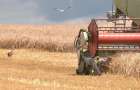 На Хмельниччині зібрали ранні зернові культури з найвищим показником урожайності в Україні