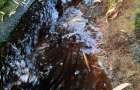Стічні води з хмельницького сміттєзвалища надалі забруднюють водойму на Озерній