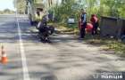 На Шепетівщині «КамАЗ» зіткнувся з мотоблоком: двох постраждалих госпіталізували