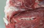На продовольчому ринку у Кам’янці-Подільському виявили заражене паразитами м’ясо