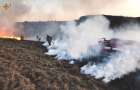 На Хмельниччині за добу приборкали 18 пожеж сухої рослинності загальною площею понад 22 га
