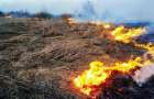 На Хмельниччині через спалювання сухої трави постраждало аграрне підприємство