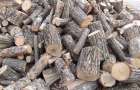 Лісгоспи Хмельниччини мають можливість до кінця року поставити на ринок майже 54 тисячі кубометрів деревини