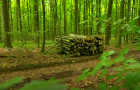 На Хмельниччині у порівнянні з минулим роком вдвічі зріс попит на дрова