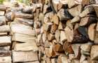Лісівники Хмельниччини пояснили, як не потрапити на гачок дров’яних шахраїв