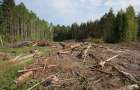На Хмельниччині лісгосп відшкодує збитки двом громадам за самовільну порубку лісу