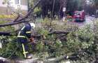Негода на Хмельниччині пошкодила автомобілі та домоволодіння