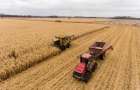 Хмельниччина демонструє найвищу врожайність зернових культур в Україні