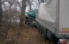 На Хмельниччині вантажівка з’їхала у кювет та зіткнулась з деревом, водій загинув на місці події