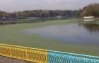 У Хмельницькому водосховищі втопили майже 150 000 грн? – активісти звинувачують міську владу у марнотратстві