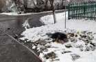 На вулиці у селі Малий Чернятин неподалік Старокостянтинова знайшли вбитим 56-річного чоловіка