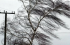 На Хмельниччині знеструмлено 80 населених пунктів – вітер обірвав лінії електропередач