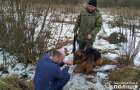 У Хмельницькому службовий собака допоміг оперативно затримати зловмисника, який пограбував пенсіонерку