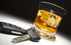 На Теофіпольщині п’яний водій намагався дати хабаря у 100 доларів США правоохоронцям