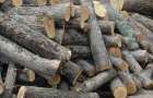 На Хмельниччині шахраї ошукали на 13 тисяч гривень жінку, котра через інтернет замовила дрова на зиму