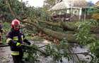 Наслідки учорашнього буревію на Хмельниччині – зірвані дахи, підтоплені дороги та поваленні дерева