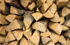 На Хмельниччині шахраї ошукали пенсіонера, який хотів придбати дрова на зиму, на 13,5 тисяч гривень