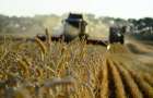 На Хмельниччині урожай всіх зернових культур зібрано з 59% площ, середня урожайність – 65,3 ц/га – ОВА