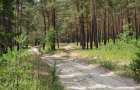 Господарський суд Хмельниччини повернув у власність держави 400 гектарів лісу вартістю 5,5 млрд грн