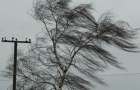 Синоптики попереджають про сильні пориви вітру на Хмельниччині