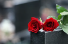 На Хмельниччині повідомили про підозру 19-річному юнаку, який вкрав квіти з могили полеглого захисника