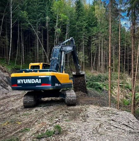 На Хмельниччині прокладуть нову лісову дорогу за 12 мільйонів гривень