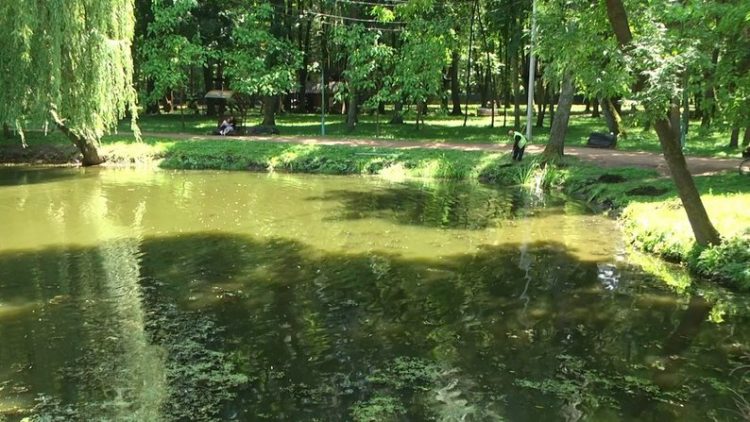 У Хмельницькому провели громадське обстеження парку імені Михайла Чекмана: що виявили