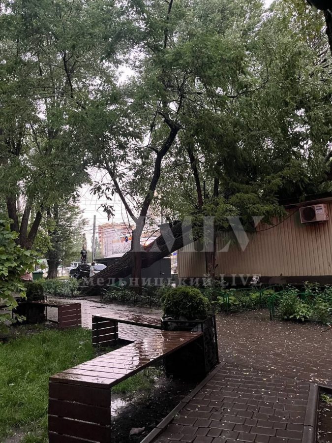 Негода на Хмельниччині: величезний град та поваленні дерева