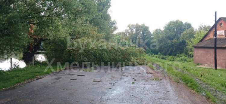 Негода на Хмельниччині: величезний град та поваленні дерева
