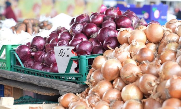 На Хмельниччині окремі господарства переорюють поля з цибулею: ціна впала нижче собівартості