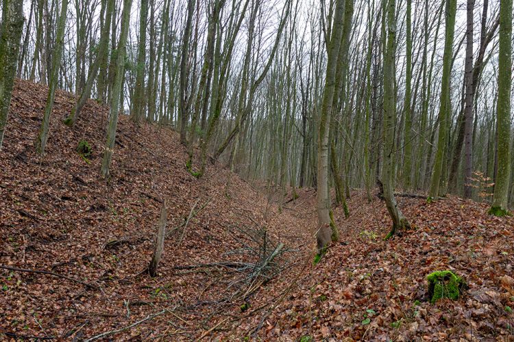 Що приховує давнє городище на Хмельниччині, де нещодавно знайшли унікальний артефакт