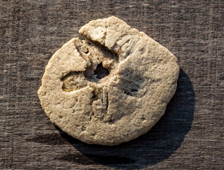 Маловідоме природне диво Хмельниччини: унікальне явище, відоме лише у кількох місцях світу