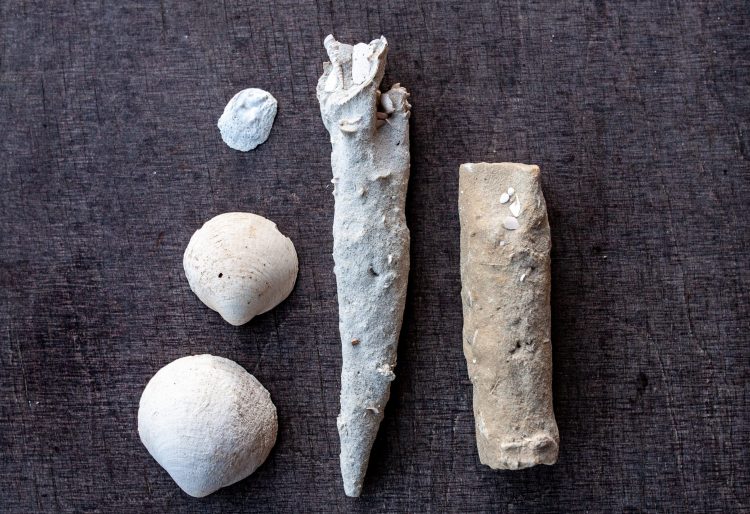 Маловідоме природне диво Хмельниччини: унікальне явище, відоме лише у кількох місцях світу