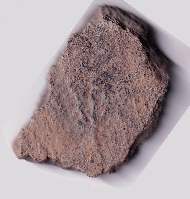 Що приховує давнє городище на Хмельниччині, де нещодавно знайшли унікальний артефакт