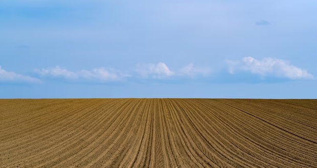 На Хмельниччині через суд скасували «прихований» договір оренди 201 гектара землі