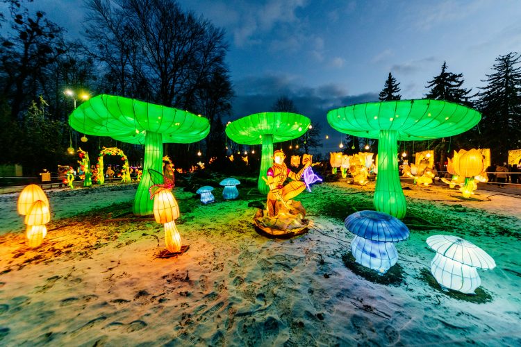 Казка під відкритим небом: у дендропарку «Поділля» засяє Парк – з магічними феями, ельфами та драконами