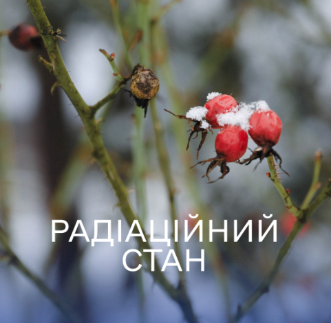 Радіаційний стан навколо Хмельницької АЕС за минулий тиждень