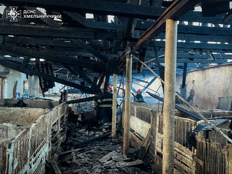 На Хмельниччині ліквідували масштабну пожежу у свинарнику: врятовано понад 200 тварин