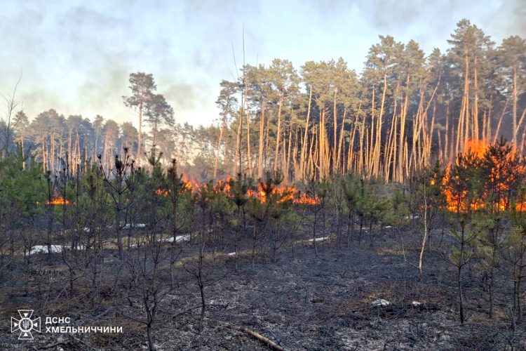 На Хмельниччині через людську недбалість вогонь знищив понад 3 гектари землі