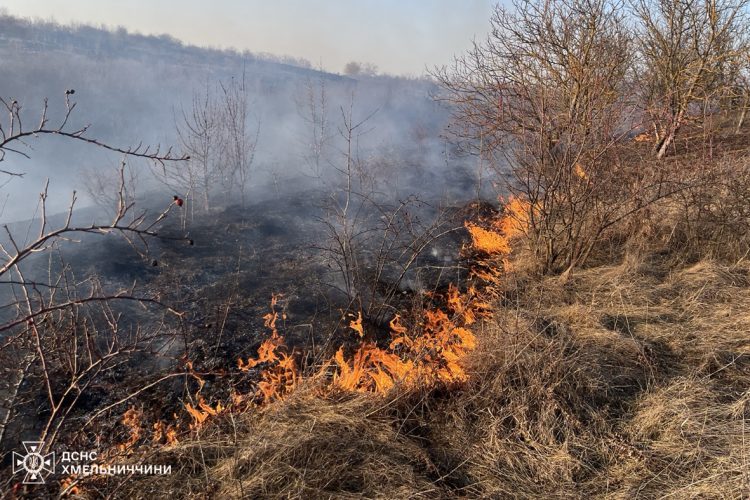 На Хмельниччині через людську недбалість вогонь знищив понад 3 гектари землі